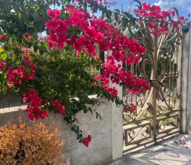 Mbrostar-Urë Apartamento | Besa House