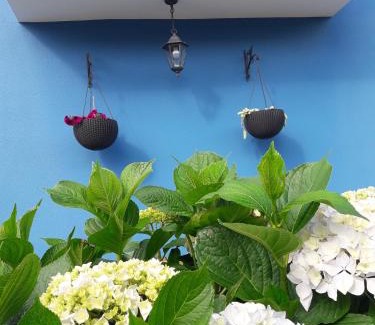 Santiago de Compostela Apartamento | Besbello Suites - Apartamento