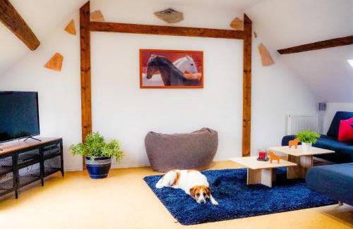 Munstermaifeld Apartamento | Besondere Ferienwohnung Spirit auf idyllischem Reiterhof nahe Burg Eltz