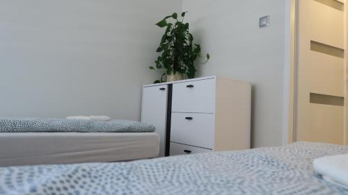 Plock Apartamento | Best Choice 2-bedroom Apartment