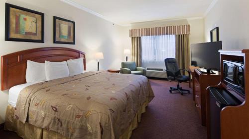 Cleveland Hotel | Best Western Cleveland Inn & Suites