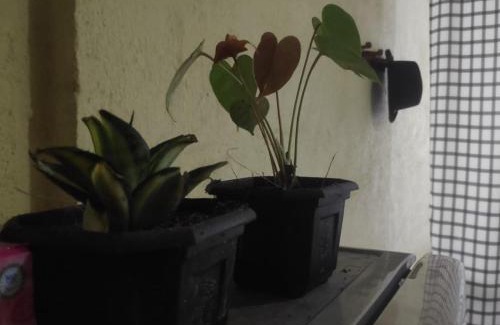Battaramulla Casa | BeVibe