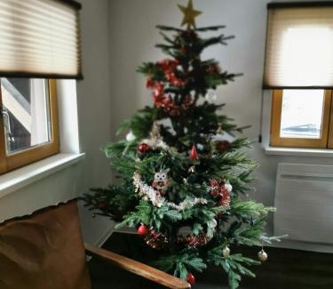 Kirrwiller Apartamento | Bi d'Grosseltere Gîtes de charme