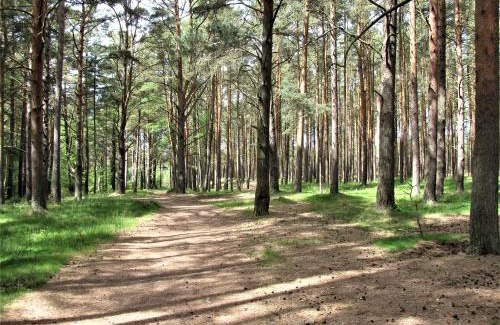 Lubiatowo Casa | Białe Domki Lubiatowo