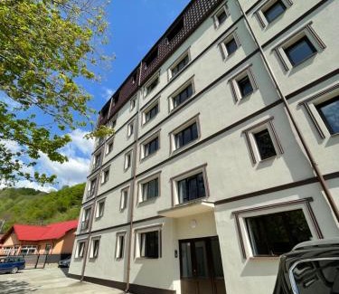 Nehoiu Apartamento | Bibis Apartments