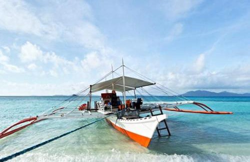 El Nido Otro | Bice Camp Darocotan