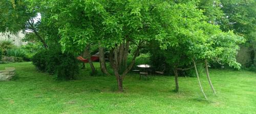 Villarcayo Apartamento | Biendella Rural Merindades