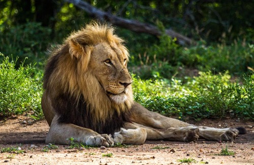 Maruleng Cabina | Big 5 Self-catering Lodge