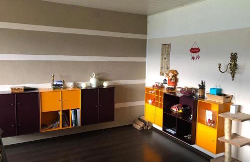 Bad Mitterndorf Apartamento | Big apartment, 72m2, nature paradise, swiming pool, table tennis, therme