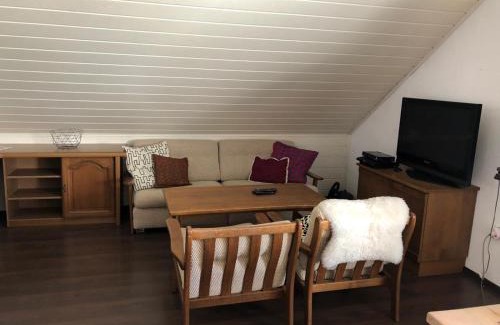 Bad Mitterndorf Apartamento | Big apartment, 72m2, nature paradise, swiming pool, table tennis, therme
