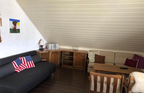 Bad Mitterndorf Apartamento | Big apartment, 72m2, nature paradise, swiming pool, table tennis, therme