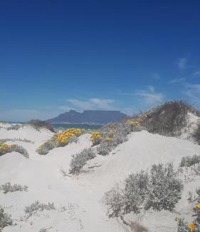 Big Bay Casa | Big Bay Homestay