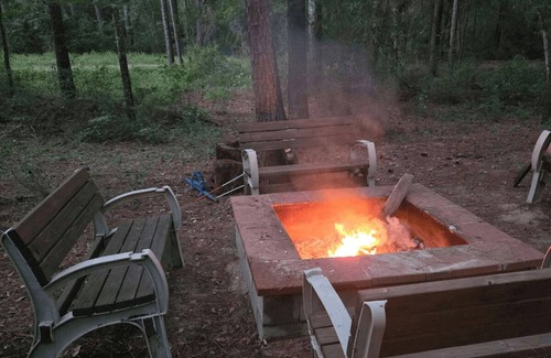 Navasota Cabina | Big Beautiful Cabin amongst Towering Pines
