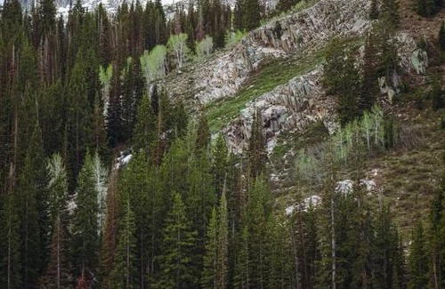 Salt Lake Mountain Resorts Chalet De Esquí | Big Cottonwood 2 Bedroom Brighton Chalet