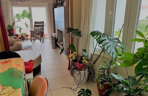 Ericeira Villa | Gran villa frente al mar cerca de playas y lugares de surf