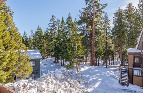 Majestic Pines Condominio | Bigwood #90 Bldg. W