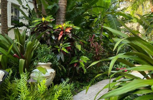 Palm Beach - West Palm Beach Apartamento | BIJOU TERRACE - Palm Beach - Pool - Beach