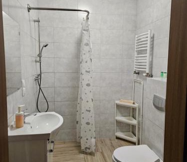 Powidz Apartamento | Bingo