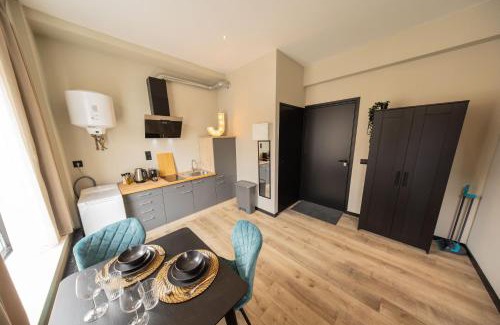 Stadsdriehoek Apartamento | Binnenrotte