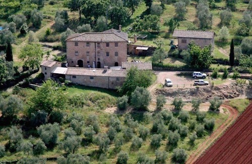 Ancaiano Otro | Granja orgánica en el campo de Siena
