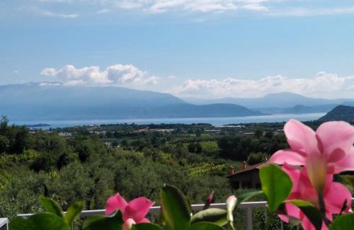 Picedo Cama Y Desayuno | Bio B&B Vivere la Vita