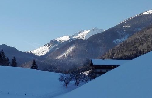 Landl Apartamento | Bio-Bauernhof "Hecherhof"