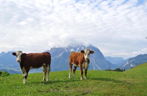 Aigen im Ennstal Apartamento | Bio-Bergbauernhof Möslhof