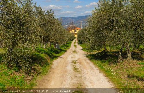 Figline e Incisa Valdarno Casa | Bioagriturismo Poderaccio