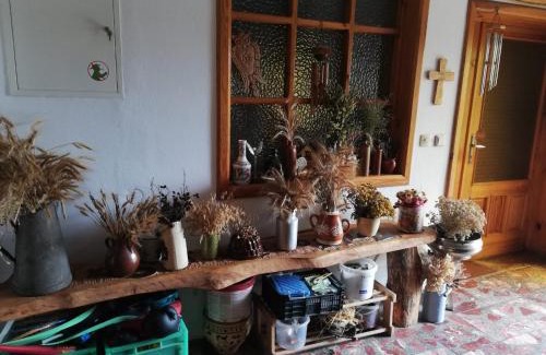 Ozimek Apartamento | Biohof Am Turawa-See