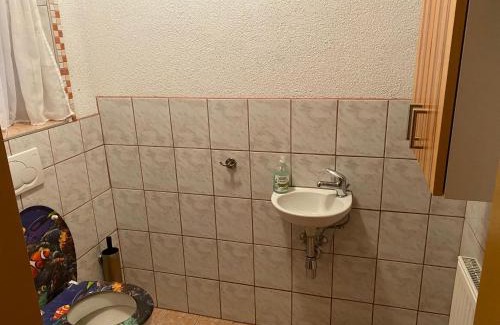 Sankt Jakob im Walde Apartamento | Biohof Kroisleitner Ferienwohnung Abendsonne