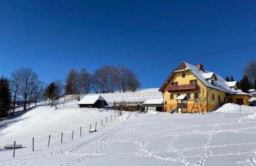 Sankt Jakob im Walde Apartamento | Biohof Kroisleitner Ferienwohnung Rundumblick