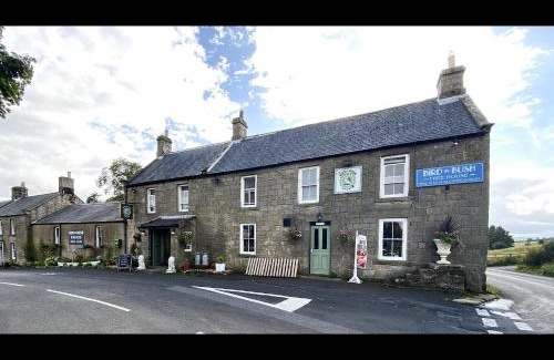 Elsdon Hotel | Bird In Bush Elsdon