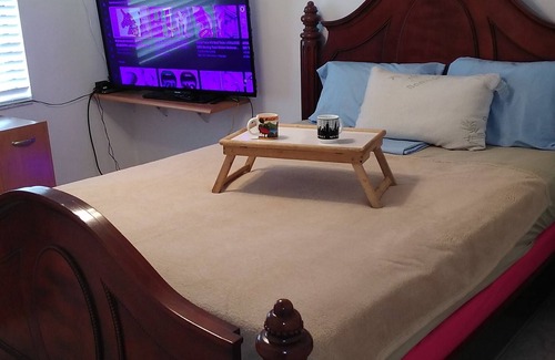 Orlando Casa | bird of paradise quarters