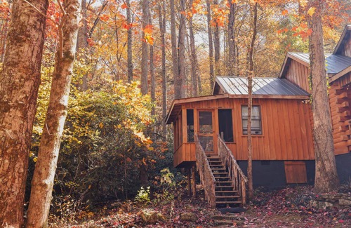 Saluda Cabina | Bird's Nest cabin at Cabin Fever in NC!
