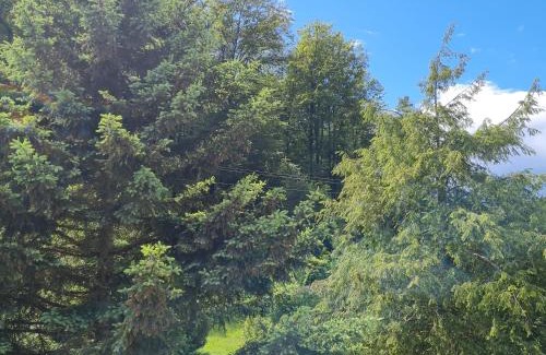 Darstein Casa | birds-nest Ferienhaus Balkon Waldblick Kamin