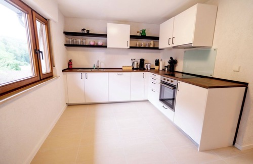 Darstein Apartamento | birds-nest holiday home palatian forest balcon wood stove