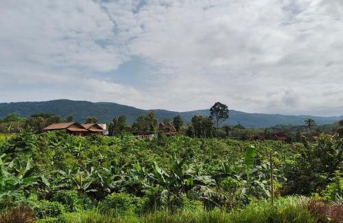 Thalassery Casa | Birdwing - Experiential Farmstay Resort by GoodEarth