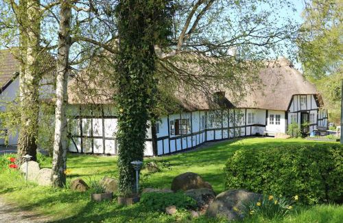 Faldsled Cama Y Desayuno | Birkelygaard B&B