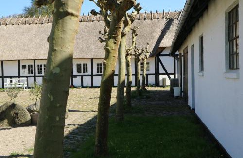 Faldsled Cama Y Desayuno | Birkelygaard B&B