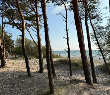 Palanga Apartamento | Birutės alėja 18