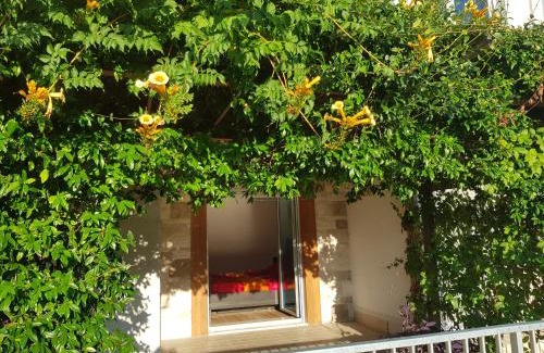 Dobrota Apartamento | Biser lux - Kotor Bay - Sea view & Swimming Pool