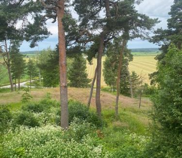 Kimito Island Apartamento | Björkboda