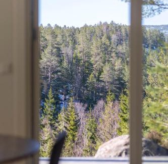 Treungen Casa | Bjønntjønn 229