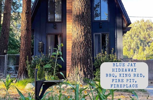 Wrightwood Apartamento | Charming Cabin | Kid & Pet Friendly, Wood Burning Fireplace