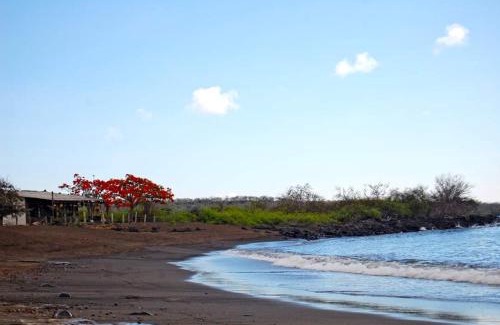 Floreana Island Hotel | Black Beach House