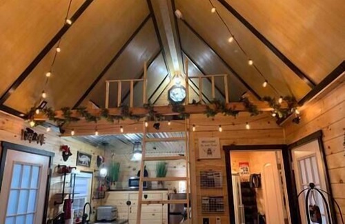 Dunlap Cabina | Black Bear Bungalow at Coops Creek Cabins