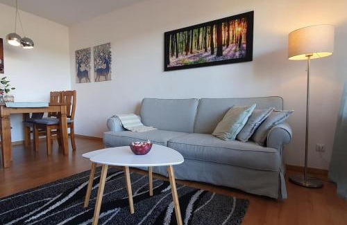 Schonach im Schwarzwald Apartamento | Black Forest Schwarzwaldliebe Pool Sauna Tennis Tischtennis Wifi Netflix Natur