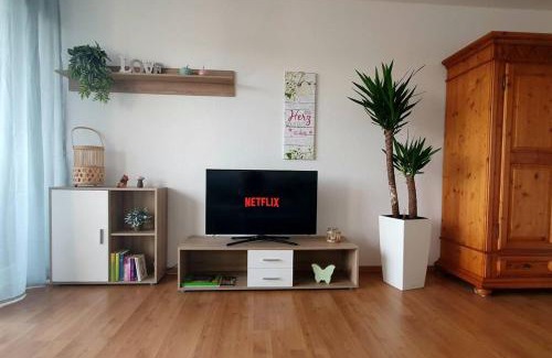 Schonach im Schwarzwald Apartamento | Black Forest Schwarzwaldliebe Pool Sauna Tennis Tischtennis Wifi Netflix Natur