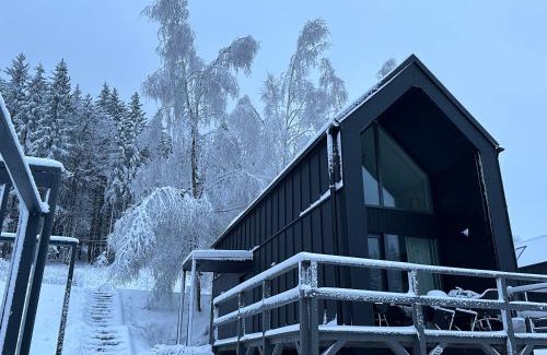 Sienna Chalet De Esquí | Black Hills Czarna Góra/Bike ^ Ski