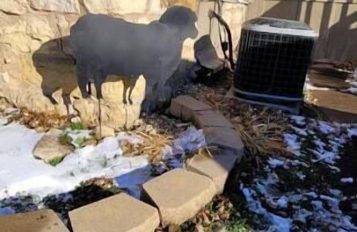 Bagley Casa | Black Sheep Lodge:Cozy & Casual-Dog Friendly